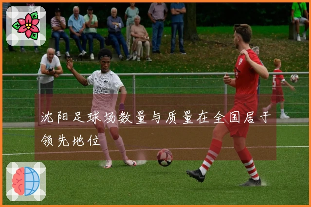 沈阳足球场数量与质量在全国居于领先地位