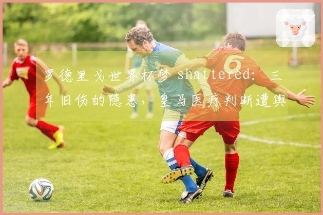 罗德里戈世界杯梦 shattered：三年旧伤的隐患，皇马医疗判断遭舆论质疑！